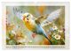 Thumbnail-12
