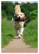 Thumbnail-14