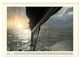 Thumbnail-12