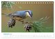 Thumbnail-11