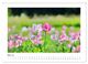 Thumbnail-10
