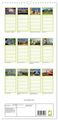 Thumbnail-8