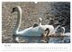 Thumbnail-10