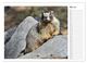 Thumbnail-10