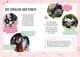 Thumbnail-9