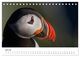 Thumbnail-12