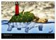 Thumbnail-14