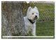Thumbnail-12