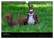Thumbnail-10