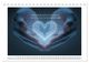 Thumbnail-14
