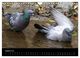 Thumbnail-13