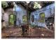 Thumbnail-11