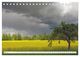 Thumbnail-8