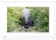 Thumbnail-10