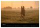 Thumbnail-12