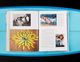 Thumbnail-25