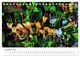 Thumbnail-12