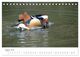 Thumbnail-13