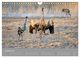 Thumbnail-10
