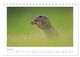 Thumbnail-11