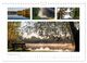 Thumbnail-11