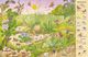 Thumbnail-2