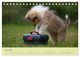 Thumbnail-10