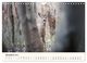 Thumbnail-14