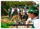 Thumbnail-11