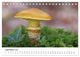 Thumbnail-11