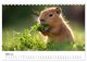 Thumbnail-8