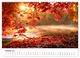 Thumbnail-12