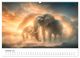 Thumbnail-12