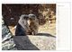 Thumbnail-9