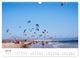 Thumbnail-9