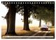 Thumbnail-13
