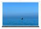 Thumbnail-13