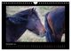 Thumbnail-14