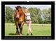 Thumbnail-10