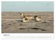 Thumbnail-12