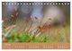 Thumbnail-9