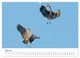 Thumbnail-11