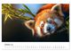 Thumbnail-12