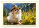 Thumbnail-11
