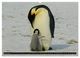 Thumbnail-14