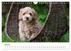 Thumbnail-12