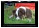 Thumbnail-11