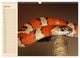 Thumbnail-11