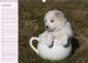 Thumbnail-12