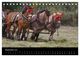 Thumbnail-14